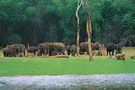 Thekkady is located in the Idukki District of Kerala and is one of the most important tourist’s destinations in Kerala India. 