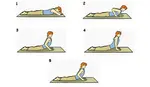 Bhujangasana also known as cobra pose in english. The asana resembles the serpent pose.This asana helps in stretching of the whole body especially neck and chest.