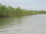Sundarbans National park is located in the state of West Bengal, India. It is also a tiger reserve and Biosphere reserve