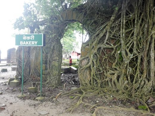 A ruined Bakery in Ross Island