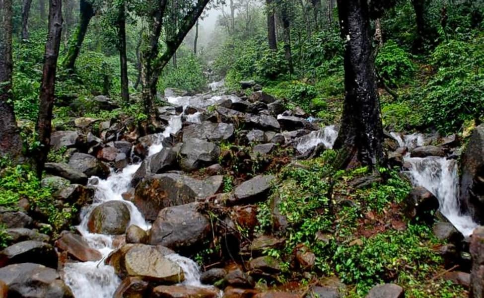 Chikmagalur Karnataka