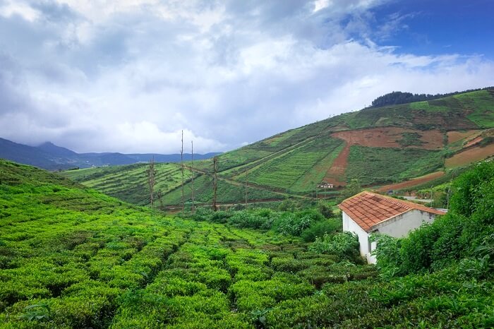 Coorg also known as Kodagu is an important hill station in Karnataka, India. It is located in the eastern slopes of Western Ghats