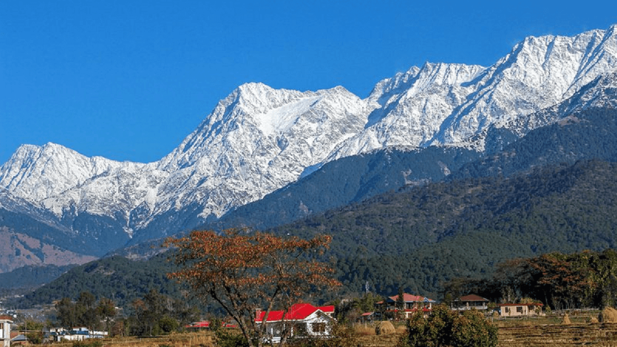 Palampur in Himachal Pradesh