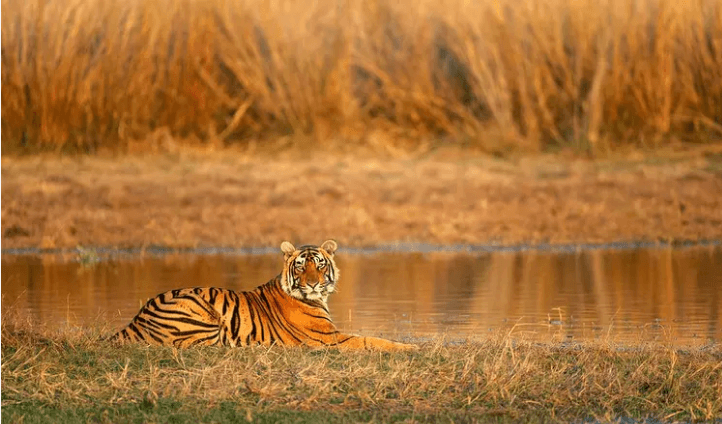 Sariska National Park