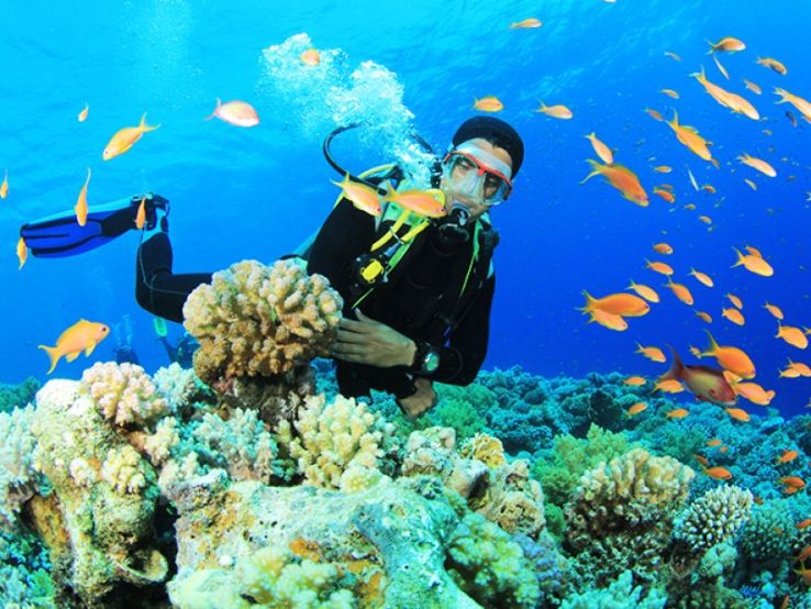 Scuba Diving in Andaman Beaches