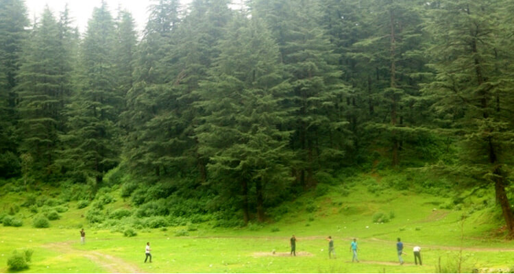 Benog wildlife sanctuary