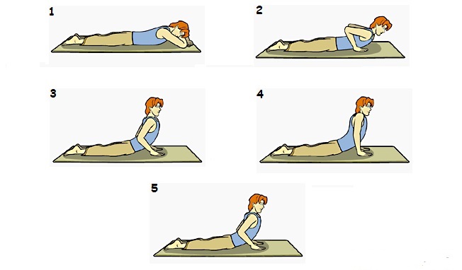 Bhujangasana also known as cobra pose in english. The asana resembles the serpent pose.This asana helps in stretching of the whole body especially neck and chest.