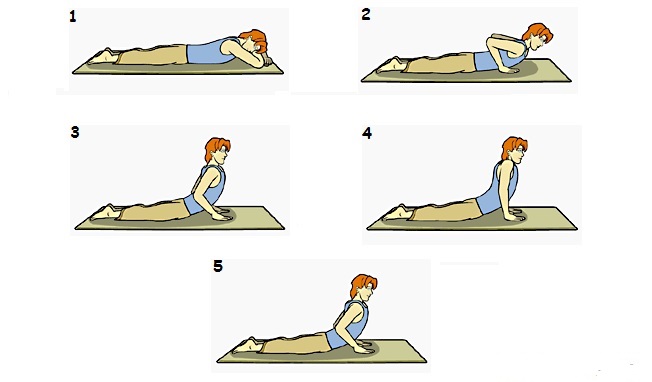 Different Postures in Bhujangasana