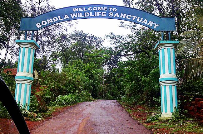 Bondla wildlife sanctuary in Goa