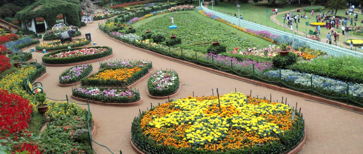 Ooty Botanical Garden