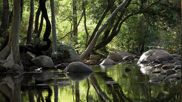 Chinnar Wildlife Sanctuary