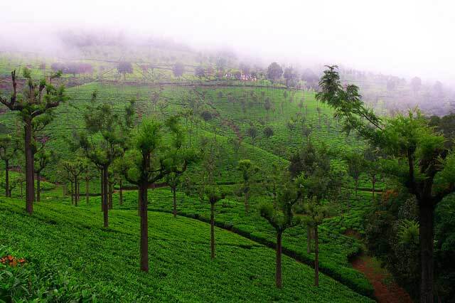 Coonoor in Tamil Nadu. One of the best hill stations