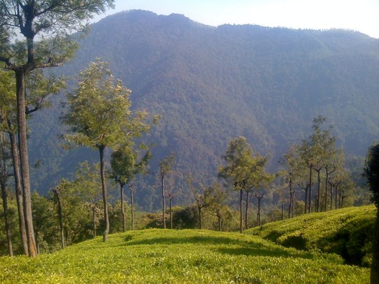 Coonoor Hill Station in Tamil Nadu