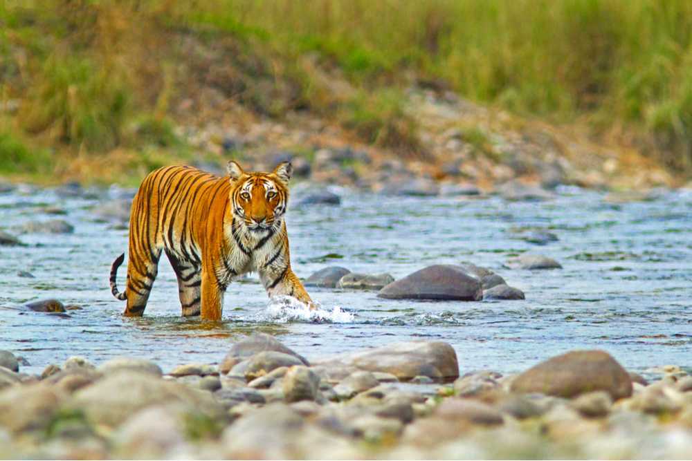 Map of Jim Corbett