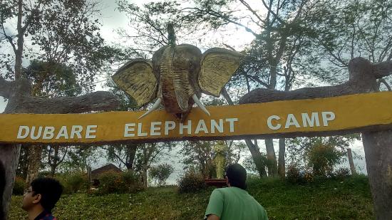 Dubare elephant camp