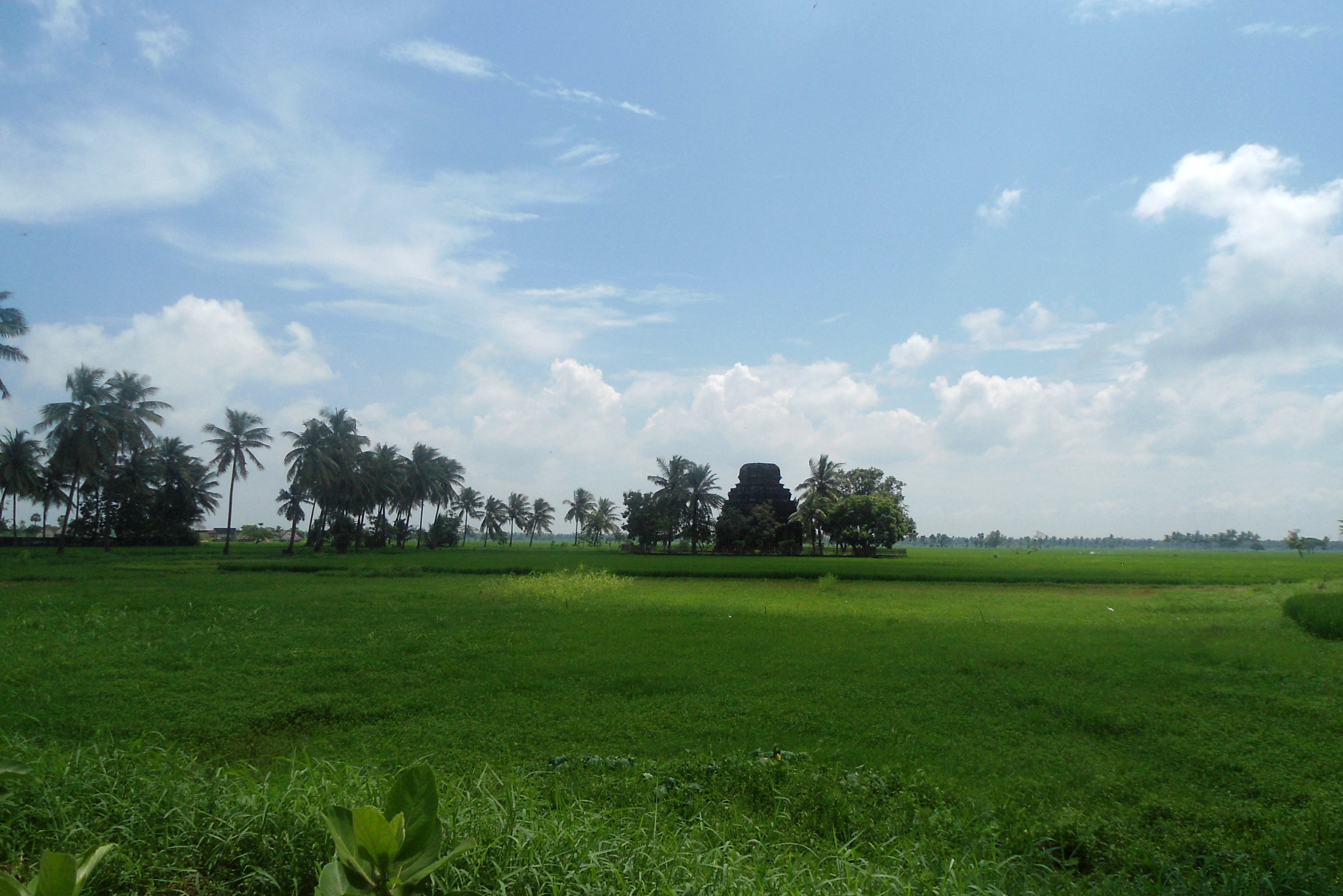 Eastern Coastal Plains