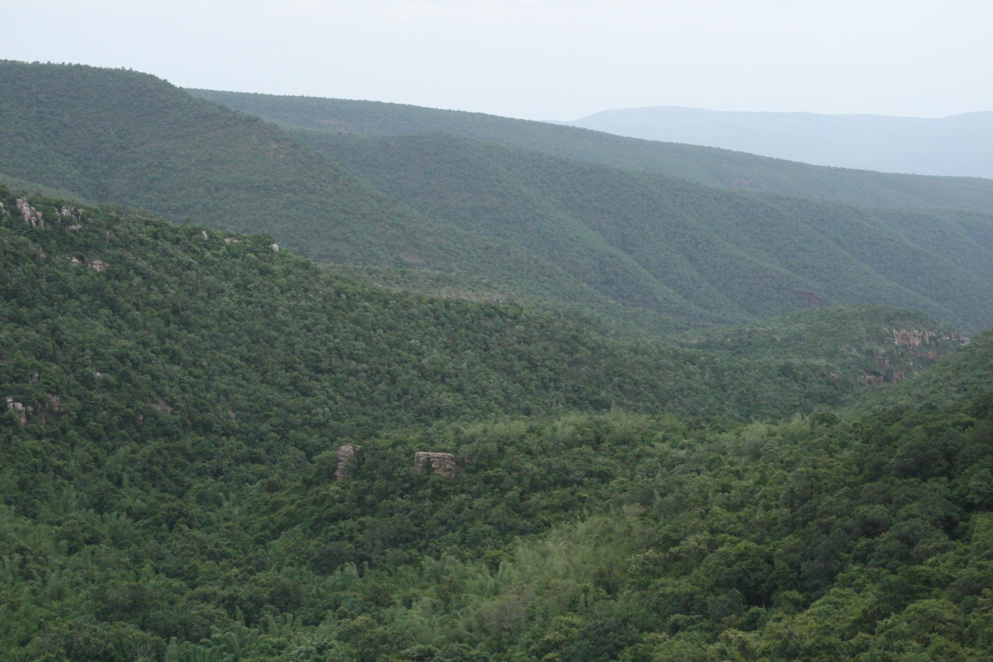 Hill ranges. Sri Venkateswara National Park. Андхра Прадеш лес. А Андхра-Прадеш природа. Лесной Департамент Индии