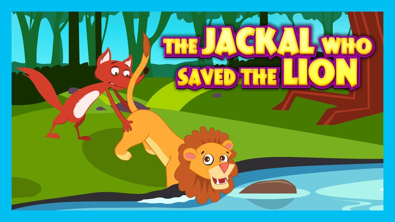 Jackal who saved the lion