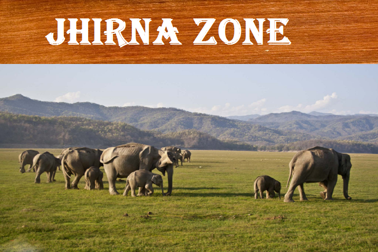 Jhirna zone in Jim Corbett