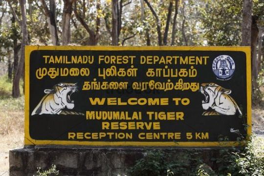 Mudumalai tiger Reserve
