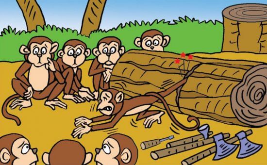  The monkey and the wedge: The monkeys watched these carpenters in fascination as they piled logs of wood.
