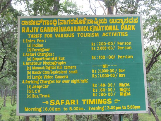 national park safari timings