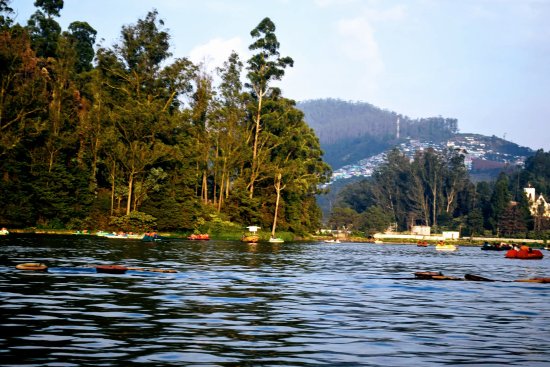 Ooty Lake