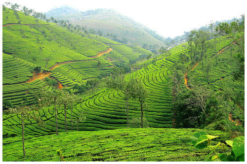 Peermade, beautiful hill station in Kerala