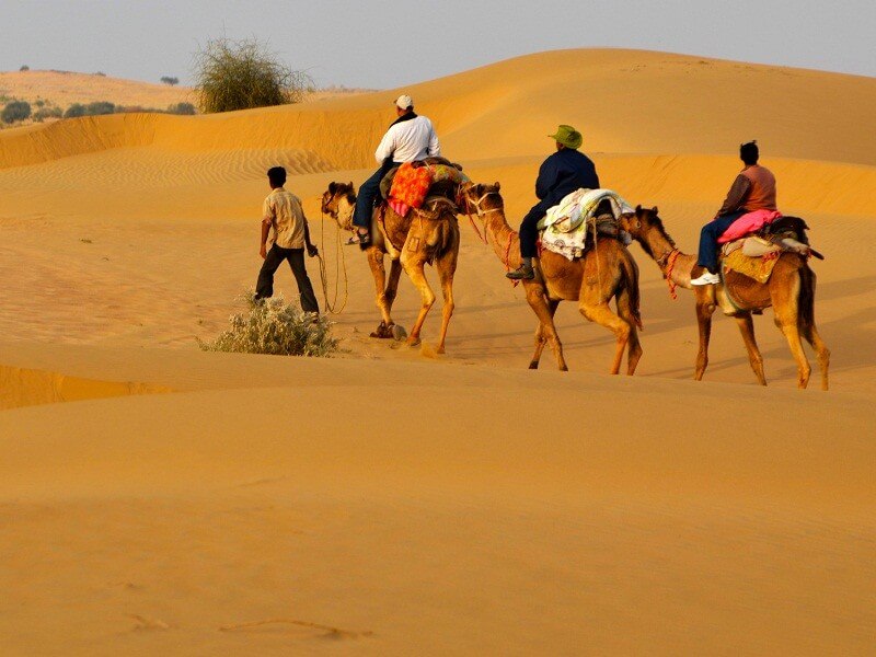 sand dunes safari