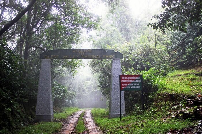 Silent valley national park is the second largest park in Kerala.  It is situated in the Palakkad district of Kerala. 