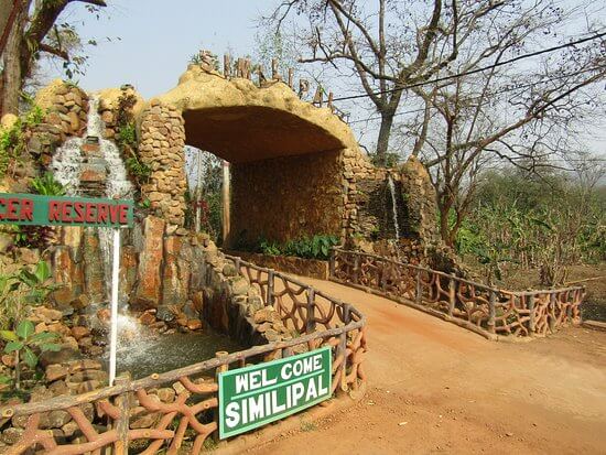 Simlipal National Park  is a national park and a tiger reserve. It is located in Mayurbhanj district of Odisha, India. 