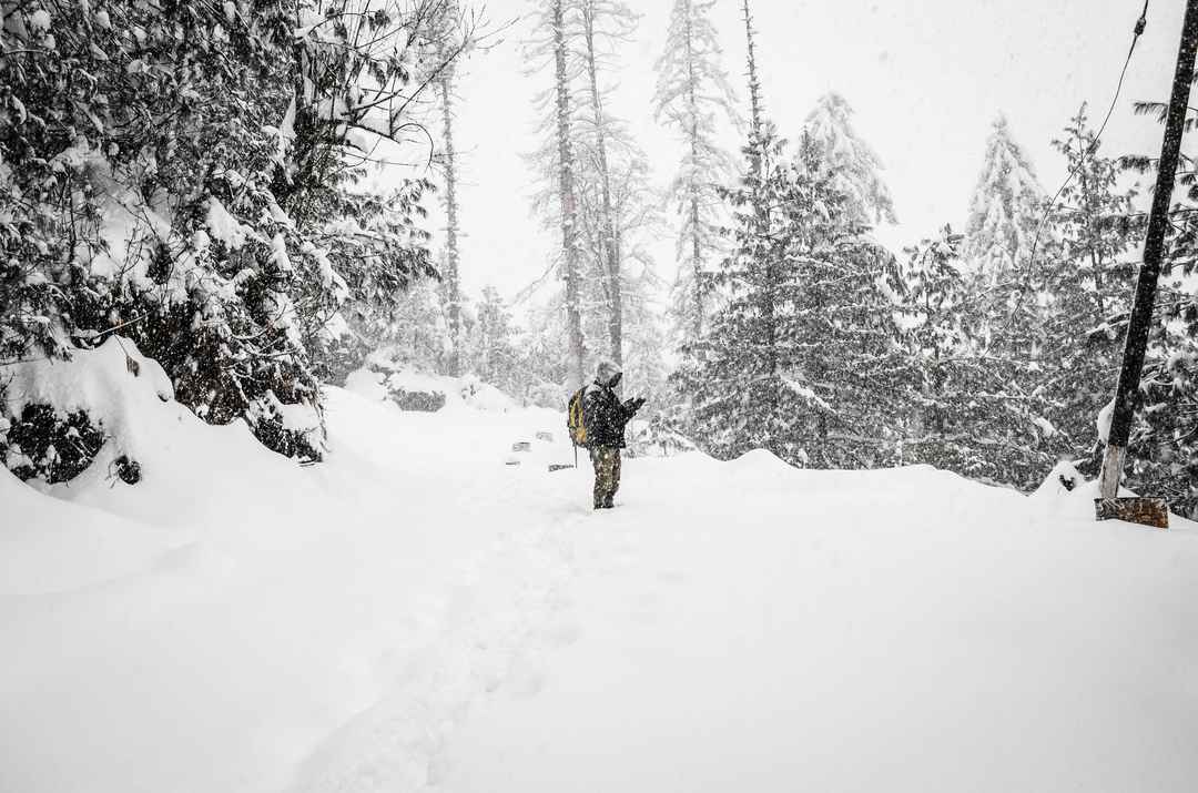 Snowfall in Shimla