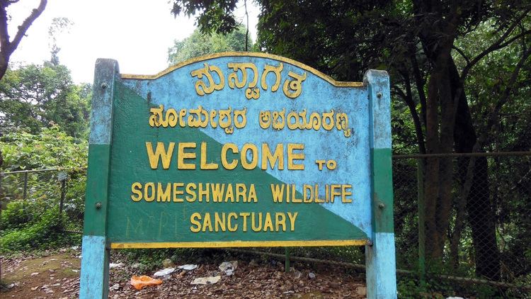 Someshwara wildlife Sanctuary