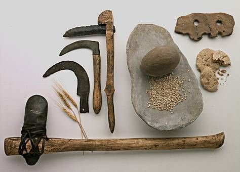 Tools used by Neolithic people