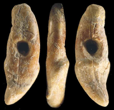 lower paleolithic age