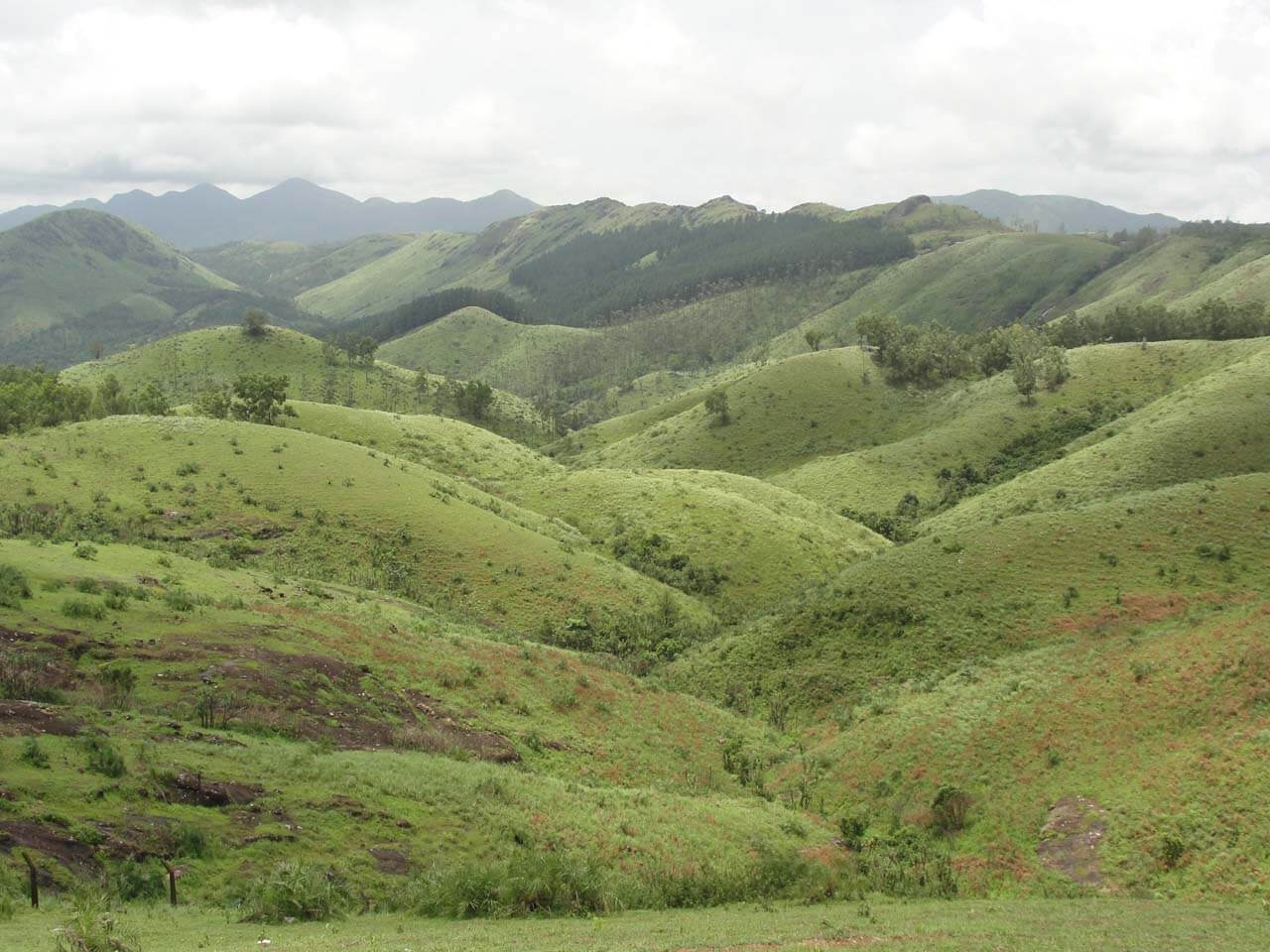 Vagamon Hill Station in Kerala