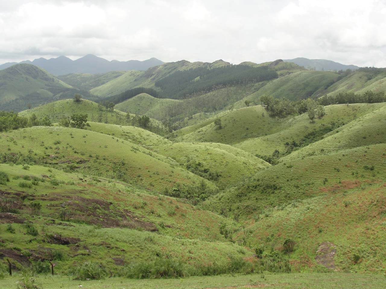 Vagamon or Wagamon is a hill station located in the Idukki district of Kerala, India with an elevation of 1,200 m. 