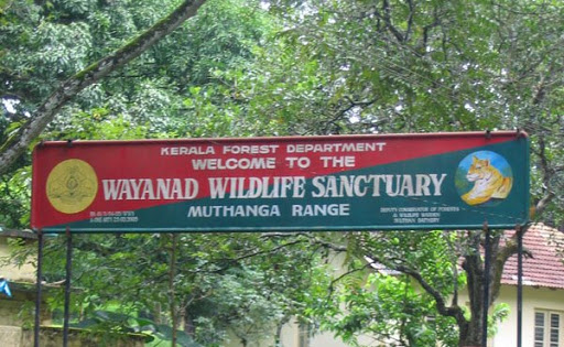 Wayanad Wildlife Sanctuary in Kerala