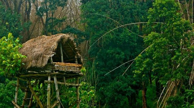 Tree house in Wayanad wildlife sanctuary