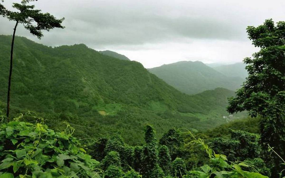 The mist in the western ghats