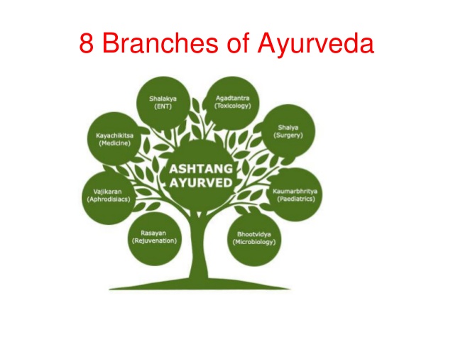 8 branches of Ayurveda