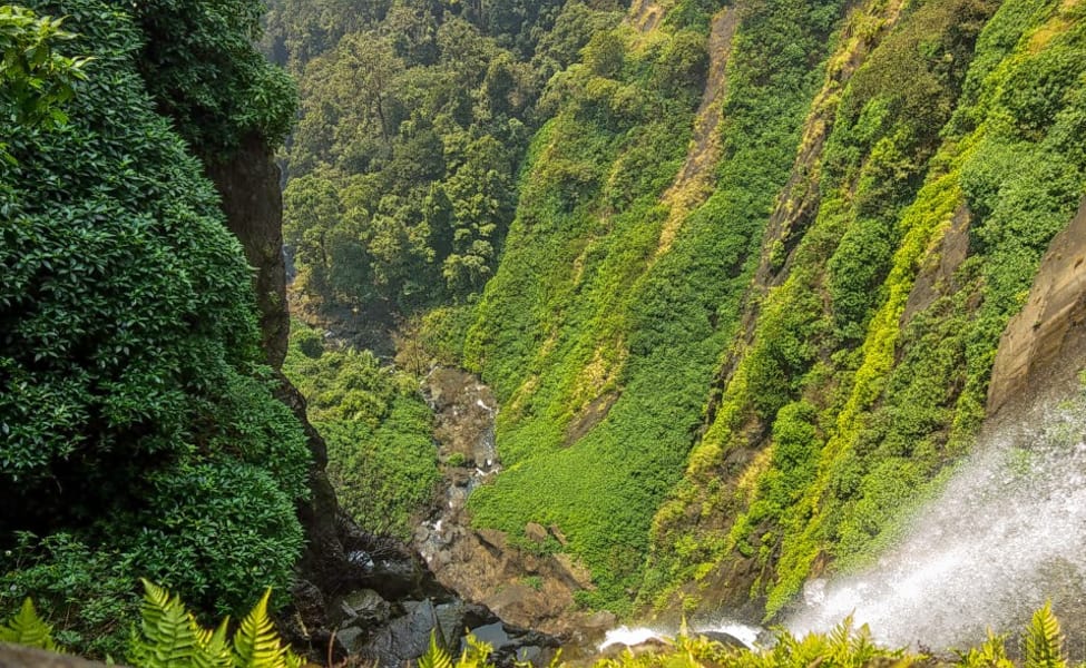 Agumbe--Karnataka