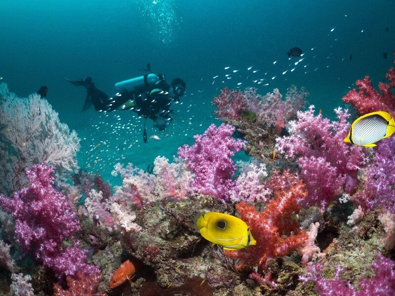 Mahatma Gandhi Marine National Park