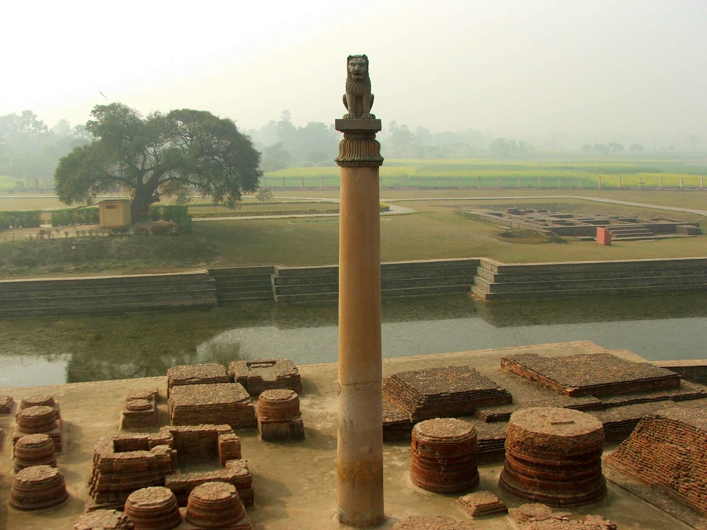 Ashoka Pillar