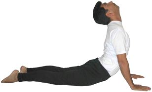 Premium Vector | Yoga cobra pose or bhujangasana man practicing strengthing yoga  pose