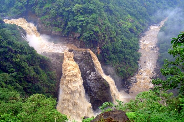 Dandeli Karnataka