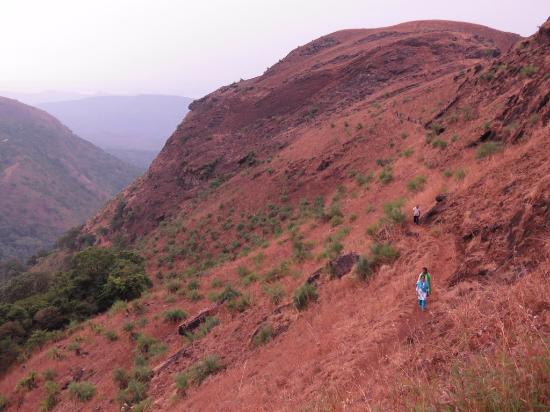 Kemmangundi Karnataka