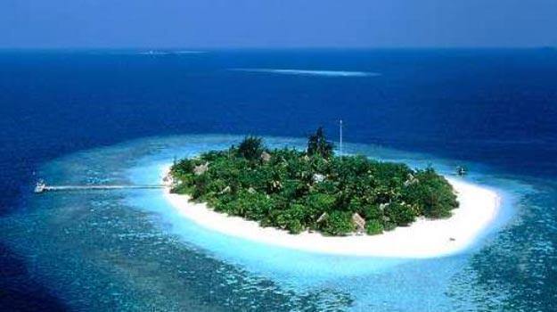 Under water world in Lakshadweep