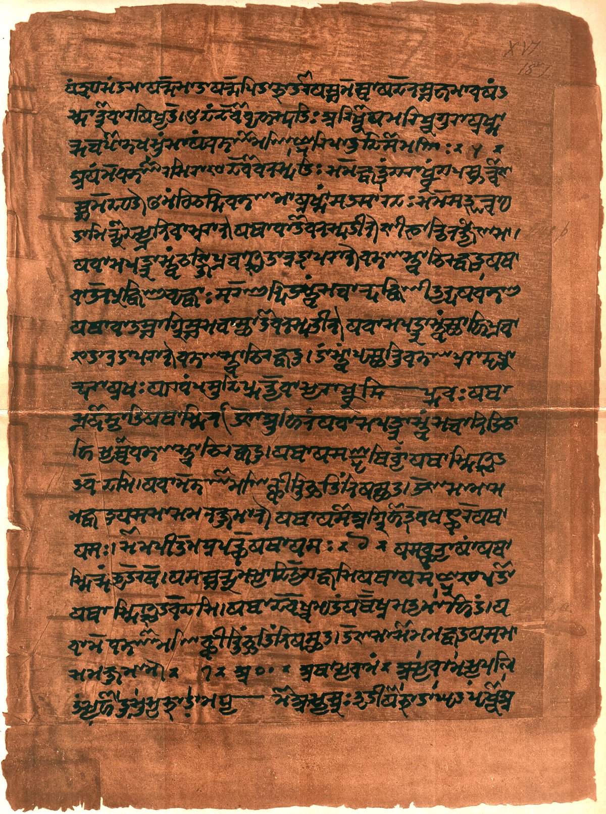 Hindu Sacred Texts: Some of the important Hindu sacred  texts include Vedas, Upanishads, Purana, Bhagavad Gita and Agamas.