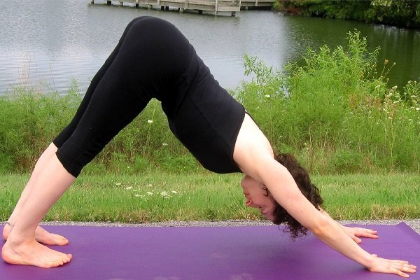 Pose in Ado Mukho Svanasana